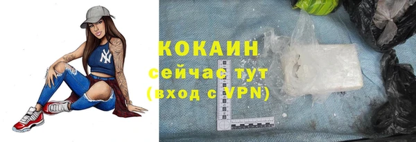 сатива Касимов