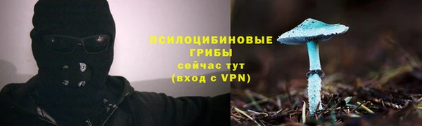 спайс Карталы