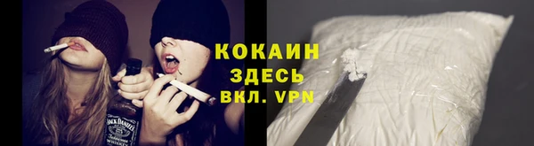 ПСИЛОЦИБИНОВЫЕ ГРИБЫ Каменка
