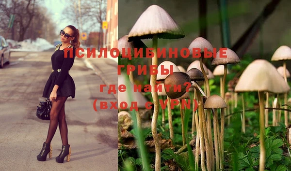 бутират Кинешма