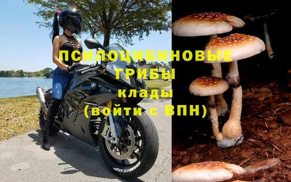 спайс Карталы
