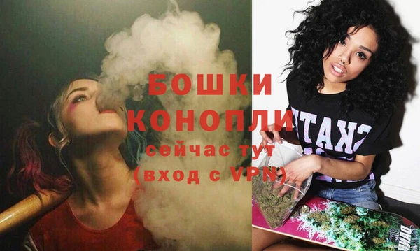 мяу мяу мука Каменногорск