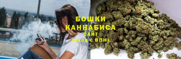 сатива Касимов
